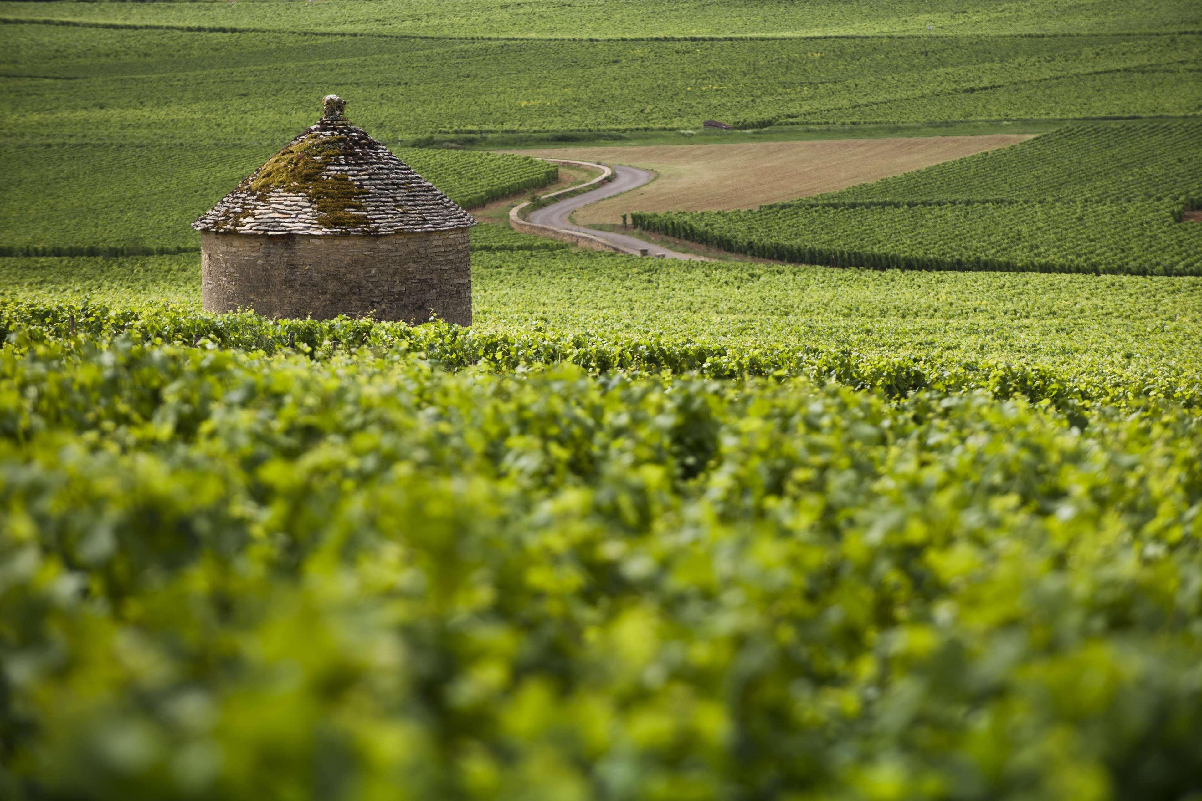 Kyriad Beaune Beaune  Exterior foto